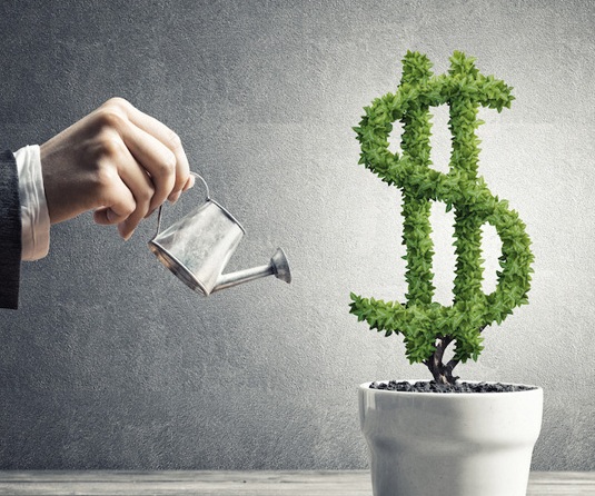 Chính Sách Hoa Hồng Cho CTV